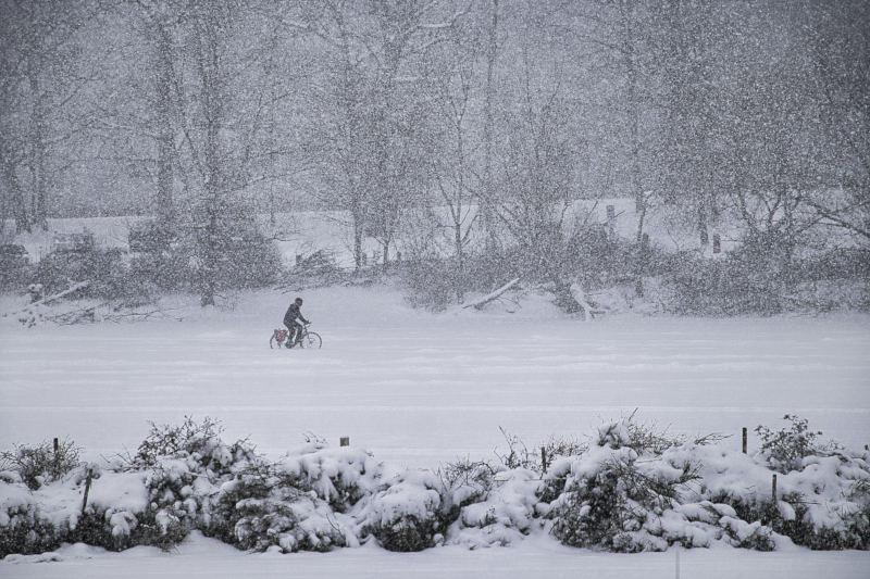 Bild: Rad im Schnee